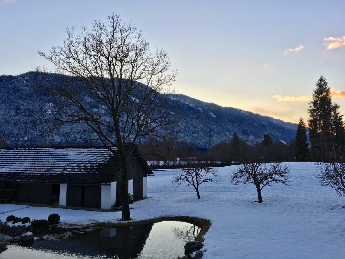 Assingerhof Sankt Stefan an der Gail Exterior foto